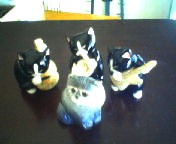 200703011430    猫バンド.jpg