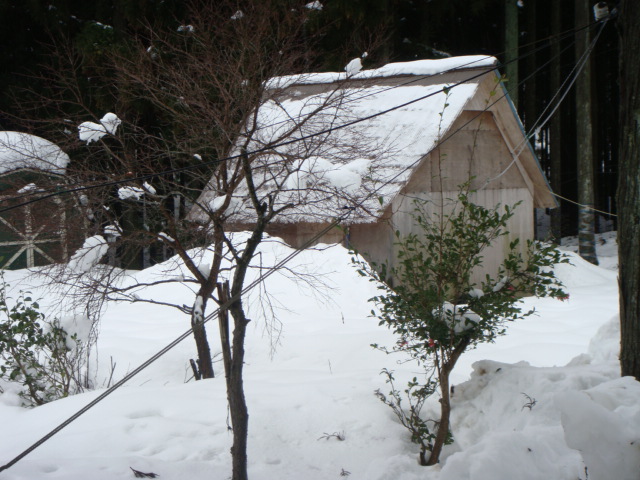 DSC00941.JPG