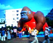 200809141454   ゴリラ.jpg