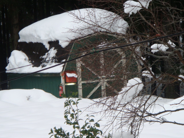 DSC00942.JPG