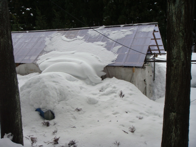 DSC00943.JPG