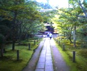 200710231218    本堂への道.jpg
