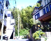 200706201443    見上げる.jpg