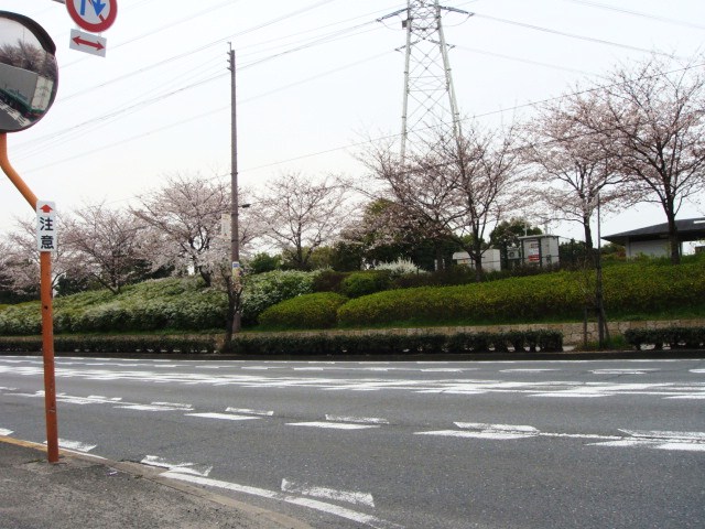 002.JPG