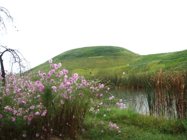 034.JPG