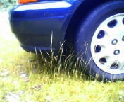 200706181244 草波.jpg