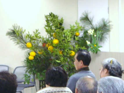 DSC01051.JPG