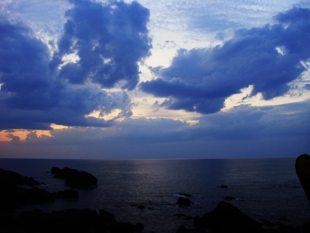 010.JPG
