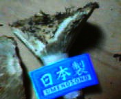 200710051223    日本製.jpg