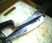 200706170924    トビと包丁.jpg