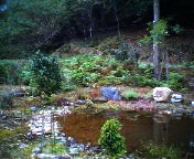 200710051339    池と庭.jpg