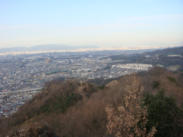 DSC01012.JPG