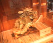 200711281611   藁細工･竜.jpg