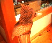 200711281612   ヤマセミ.jpg