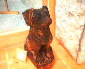 200711281612   黒犬.jpg