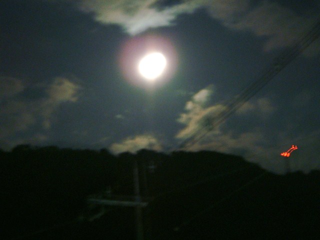 003.JPG