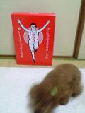 マイロとプレゼント