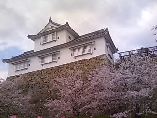 鶴山公園２