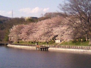 酒津公園３
