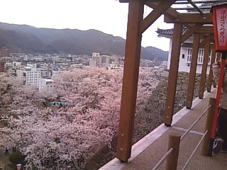 鶴山公園４