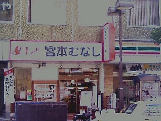 宮本むなし