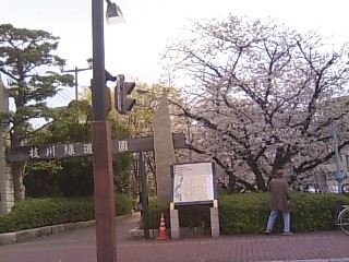 枝川緑道公園