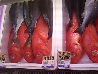 金目ダイ２