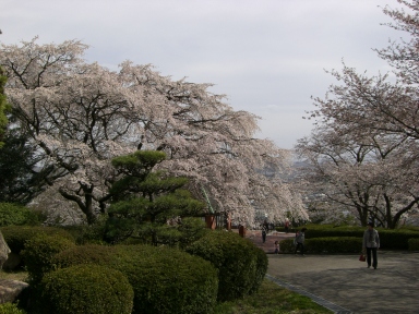 半田山植物園２