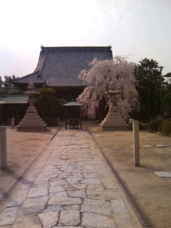 妙勝寺２