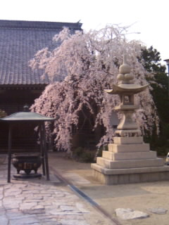 妙勝寺３