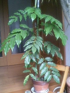 070216_1300~0001.jpg