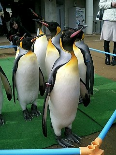 060121_1352~0001.jpg