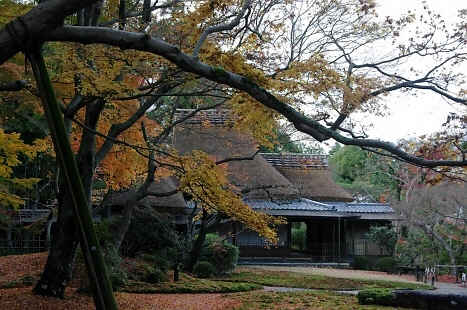 322.郷愁を感じさせる庭園