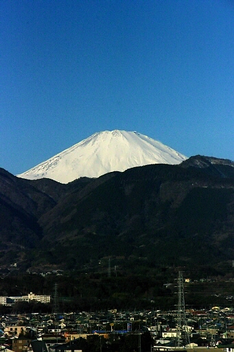 2.1/26朝の富士山、わが団地から