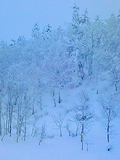 2007.12.22～12.25  スキー旅行 005.jpg