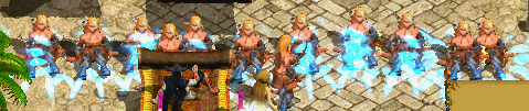 RS503.gif