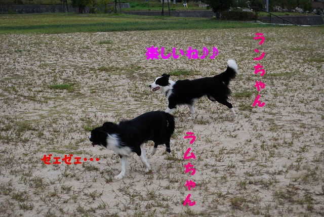 ランちゃんと♪.jpg