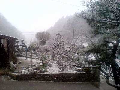 なぜ雪？.jpg