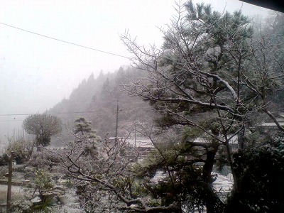 なに雪って！？.jpg