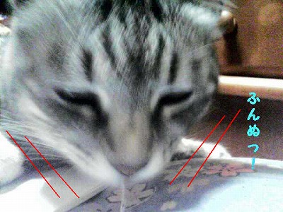 ふんぬっ！.jpg