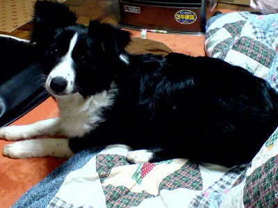 ラム１４９.jpg