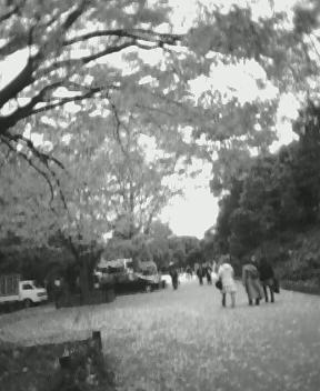 NEC_0051.JPG
