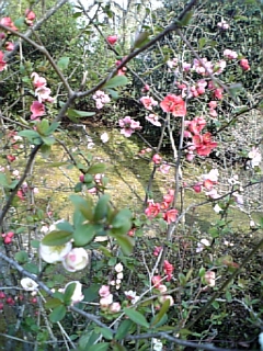 DVC00016.JPG