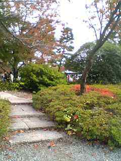 DVC10061.JPG