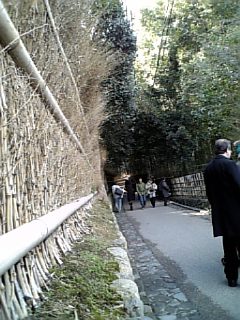 DVC00038.JPG