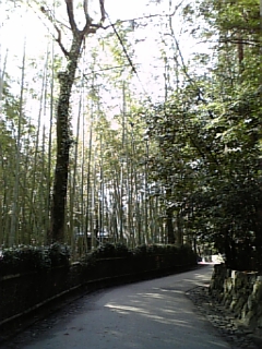 DVC00034.JPG