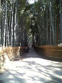 DVC00028.JPG