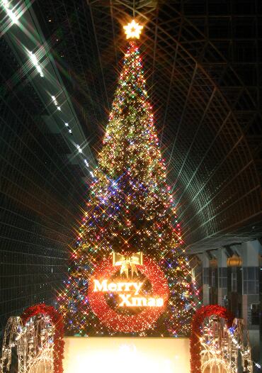 xmastree2005s.jpg
