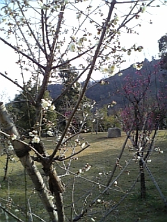 DVC00022.JPG