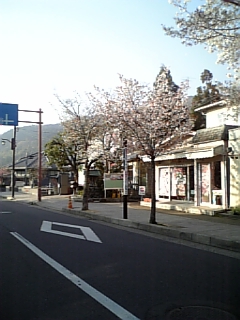 コピー ～ DVC00002.JPG